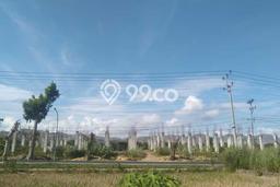 Kavling Tanah di Mpunda Dijual Luas 3000m2 Legalitas SHM Kavling Tanah di Mpunda Dijual Luas 3000m2 Legalitas SHM