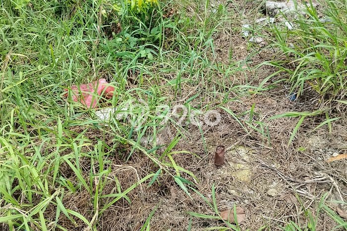 Tanah untuk Dijual Lokasi Marpoyan Damai, Pekanbaru Luas 717m2 SHM Tanah untuk Dijual Lokasi Marpoyan Damai, Pekanbaru Luas 717m2 SHM