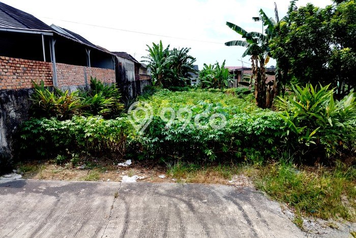 LOKASI PREMIUM! Tanah Kawasan Pekanbaru Kota, Luas 220m², Cocok untuk Investasi LOKASI PREMIUM! Tanah Kawasan Pekanbaru Kota, Luas 220m², Cocok untuk Investasi