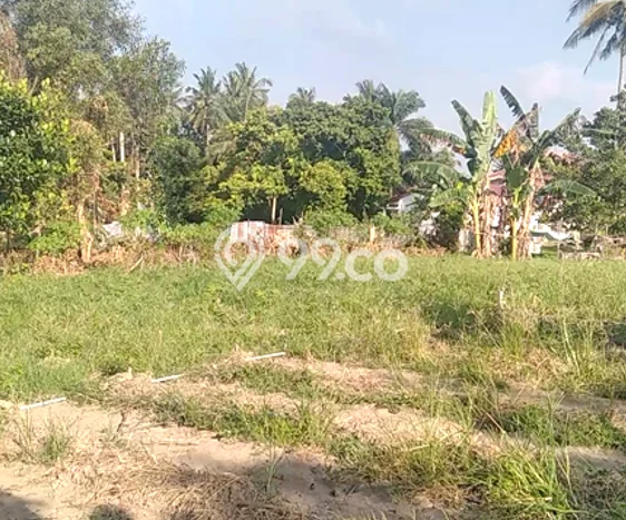 Tanah Strategis Dijual di Pekanbaru Kota Pekanbaru 780m2 Tanah Strategis Dijual di Pekanbaru Kota Pekanbaru 780m2