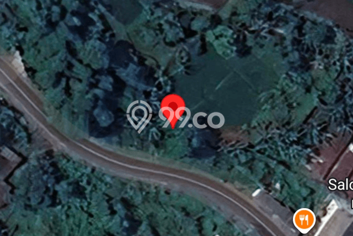 Tanah Kosong Dijual di Pasuruan dengan Area 2025m2 Tanah Kosong Dijual di Pasuruan dengan Area 2025m2