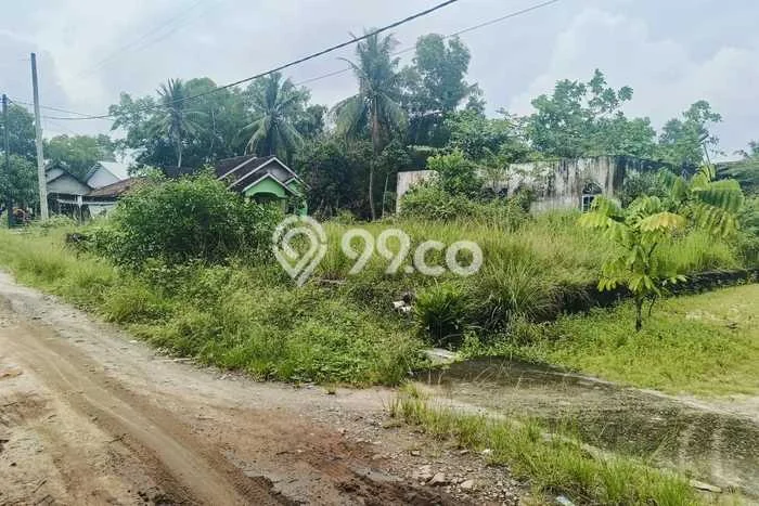 Lahan Investasi Lokasi Labuhan Maringgai Lampung Timur - Lahan Investasi Lokasi Labuhan Maringgai Lampung Timur -