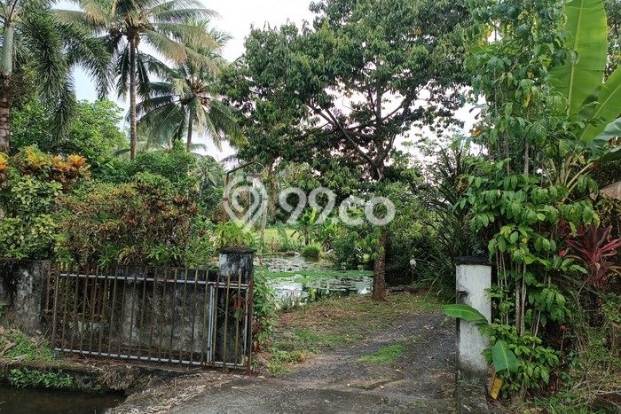 PELUANG INVESTASI! Vila di Kalawat, Luas 4146m2m², Hasil Tinggi PELUANG INVESTASI! Vila di Kalawat, Luas 4146m2m², Hasil Tinggi