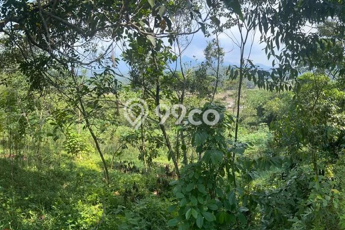 Tanah Komersial Dijual di Jonggol Bogor 6134m2 Tanah Komersial Dijual di Jonggol Bogor 6134m2