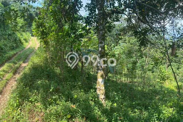 Tanah Komersial Dijual di Jonggol Bogor 6134m2 Tanah Komersial Dijual di Jonggol Bogor 6134m2