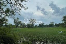 Tanah Kosong Dijual di Gowa dengan Area 4500m2 Tanah Kosong Dijual di Gowa dengan Area 4500m2