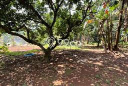 Tanah untuk Dijual Lokasi Ciputat, Tangerang Selatan Luas 3630m2 SHM Tanah untuk Dijual Lokasi Ciputat, Tangerang Selatan Luas 3630m2 SHM