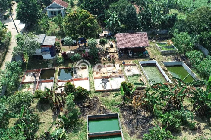 Dijual Tanah Kawasan Parung, Luas 2617m², Kawasan Nyaman Dijual Tanah Kawasan Parung, Luas 2617m², Kawasan Nyaman