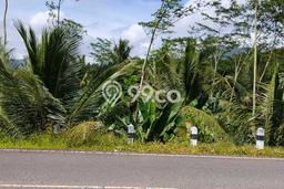 Tanah Kavling untuk Dijual di Munjungan Trenggalek 4036m2 Tanah Kavling untuk Dijual di Munjungan Trenggalek 4036m2