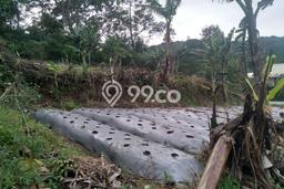 Tanah Strategis Dijual di Subang Kuningan 13000m2 Tanah Strategis Dijual di Subang Kuningan 13000m2