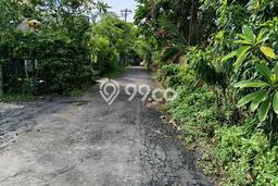 Tanah Siap Bangun Dijual di Badung Punya Luas 500m2 Tanah Siap Bangun Dijual di Badung Punya Luas 500m2