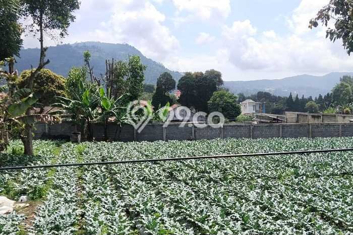 Tanah Kavling untuk Dijual di Lembang Bandung Barat 3045m2 Tanah Kavling untuk Dijual di Lembang Bandung Barat 3045m2