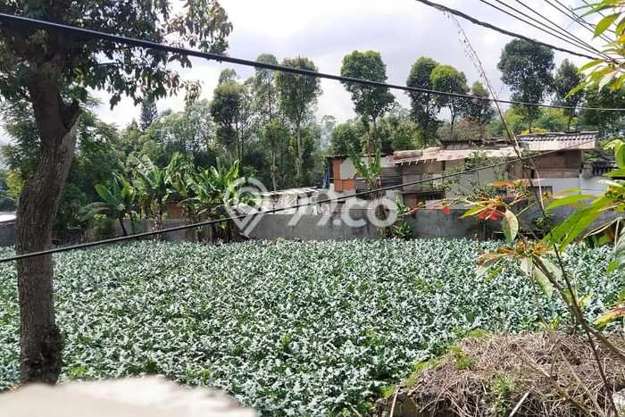 Tanah Kavling untuk Dijual di Lembang Bandung Barat 3045m2 Tanah Kavling untuk Dijual di Lembang Bandung Barat 3045m2