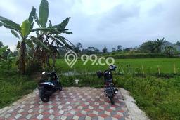 Tanah Komersial Dijual di Ngaglik Sleman 1000m2 Tanah Komersial Dijual di Ngaglik Sleman 1000m2