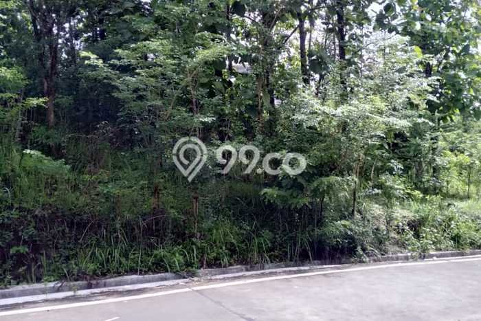 Kavling Tanah Dijual di Prambanan, Sleman, Luas 1011m2 Area Strategis Kavling Tanah Dijual di Prambanan, Sleman, Luas 1011m2 Area Strategis