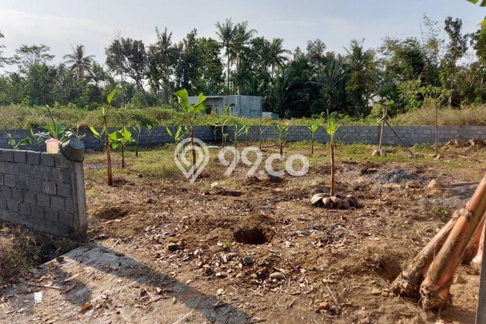 Tanah untuk Dijual di Temon Kulon Progo Luas 260m2 Tanah untuk Dijual di Temon Kulon Progo Luas 260m2