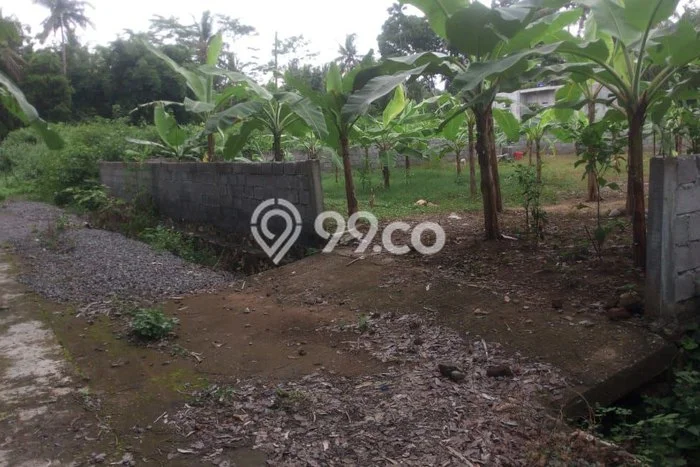 Tanah untuk Dijual di Temon Kulon Progo Luas 260m2 Tanah untuk Dijual di Temon Kulon Progo Luas 260m2