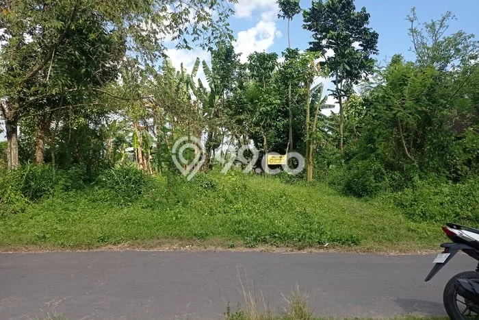 Tanah Dijual Lokasi Prambanan, Klaten dengan Luas Tanah 220m2 dan Status SHM Tanah Dijual Lokasi Prambanan, Klaten dengan Luas Tanah 220m2 dan Status SHM