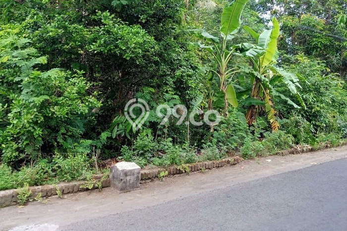 Lahan Dijual Lokasi Kretek, Bantul dengan Luas Tanah 900m2 dan Status SHM Lahan Dijual Lokasi Kretek, Bantul dengan Luas Tanah 900m2 dan Status SHM