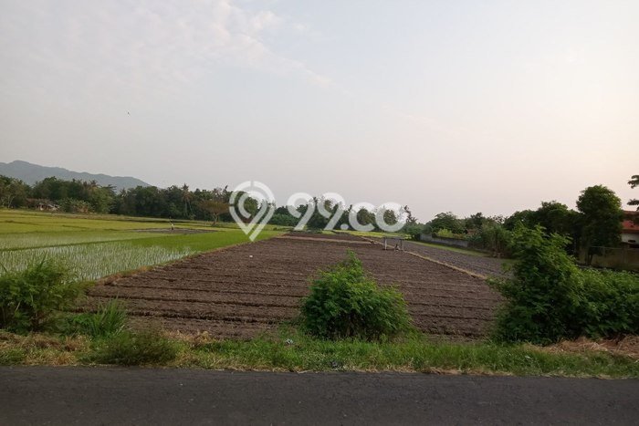 Tanah Dijual di Bantul Seluas 2713m2 Strategis Tanah Dijual di Bantul Seluas 2713m2 Strategis
