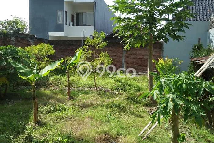 Tanah Kawasan Lowokwaru, Luas 300m2m², Tersedia untuk Sewa Tanah Kawasan Lowokwaru, Luas 300m2m², Tersedia untuk Sewa
