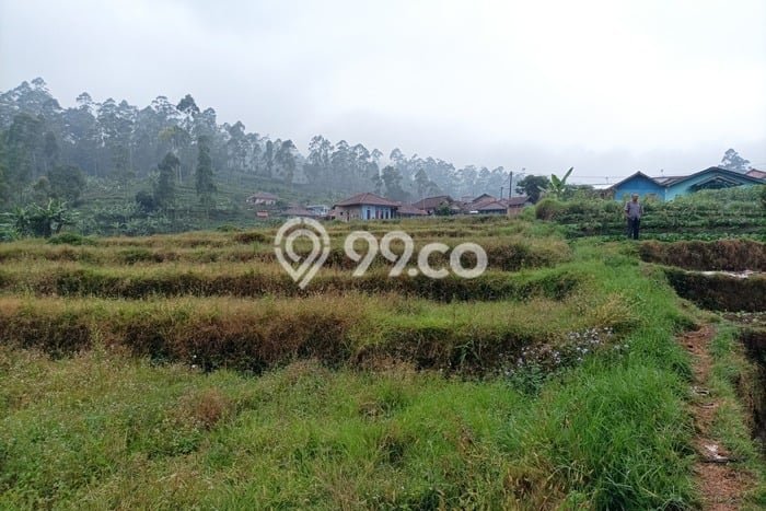 Tanah untuk Dijual di Pasirjambu Bandung Luas 999m2 Tanah untuk Dijual di Pasirjambu Bandung Luas 999m2