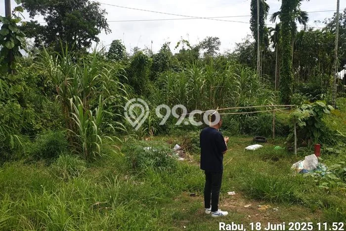 Kavling Tanah Dijual di Muara Sabak Barat Tanjung Jabung Timur Spesifikasi 10074m2 Kavling Tanah Dijual di Muara Sabak Barat Tanjung Jabung Timur Spesifikasi 10074m2