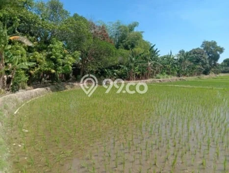 Tanah Dijual Lokasi Barombong, Gowa Luas 1181m2 Legalitas Aman Tanah Dijual Lokasi Barombong, Gowa Luas 1181m2 Legalitas Aman