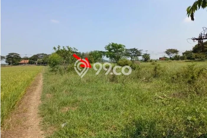 Tanah di Indramayu, Indramayu Luas 15086m2 Dijual Segera Tanah di Indramayu, Indramayu Luas 15086m2 Dijual Segera