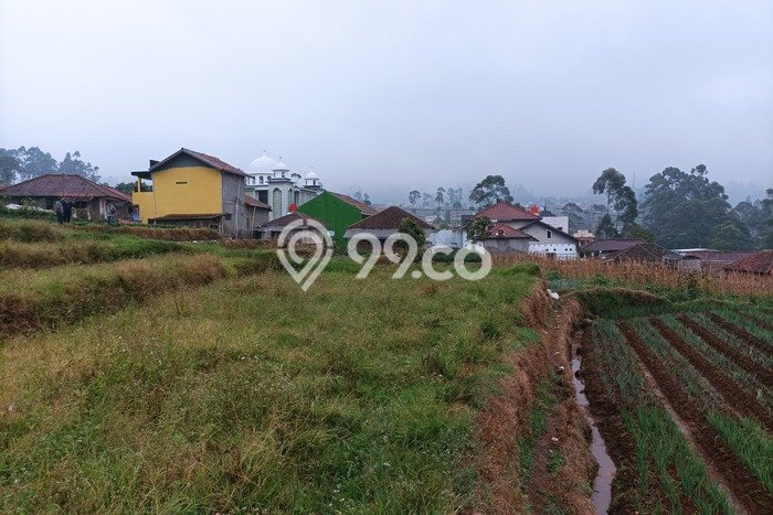 Tanah untuk Dijual di Pasirjambu Bandung Luas 999m2 Tanah untuk Dijual di Pasirjambu Bandung Luas 999m2