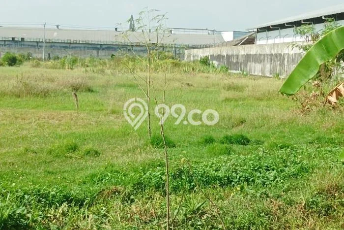 Tanah Kosong Disewakan di Jaten, Karanganyar, Luas 4800m2 Tanah Kosong Disewakan di Jaten, Karanganyar, Luas 4800m2