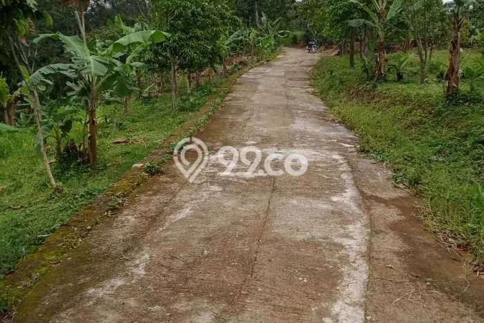 Tanah Dijual Lokasi Ngargoyoso Karanganyar - Tanah Dijual Lokasi Ngargoyoso Karanganyar -