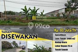 Sangat Dicari! Kavling Tanah Disewakan di Tasikmadu, Karanganyar Sangat Dicari! Kavling Tanah Disewakan di Tasikmadu, Karanganyar
