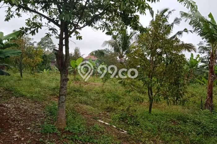 Tanah Dijual Lokasi Ngargoyoso Karanganyar - Tanah Dijual Lokasi Ngargoyoso Karanganyar -