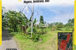 Kavling Tanah Dijual di Negara Jembrana Spesifikasi 45420m2 Kavling Tanah Dijual di Negara Jembrana Spesifikasi 45420m2