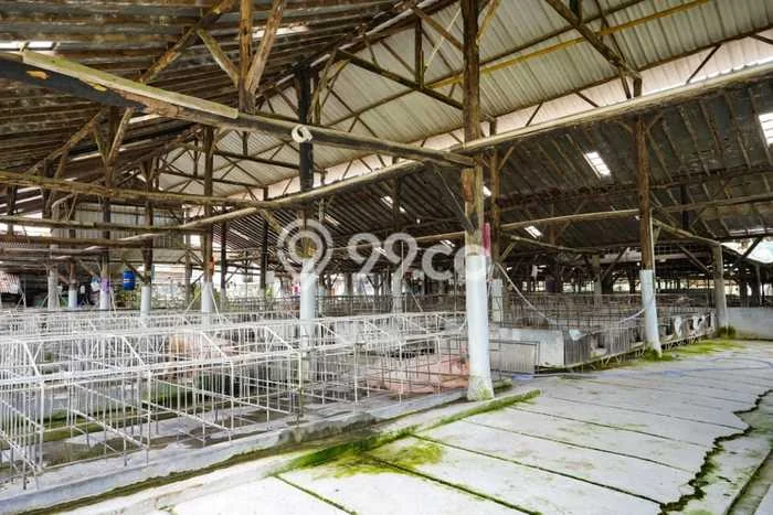 Tanah Siap Pakai Disewakan di Gondangrejo, Karanganyar, Luas 4386m2 Tanah Siap Pakai Disewakan di Gondangrejo, Karanganyar, Luas 4386m2