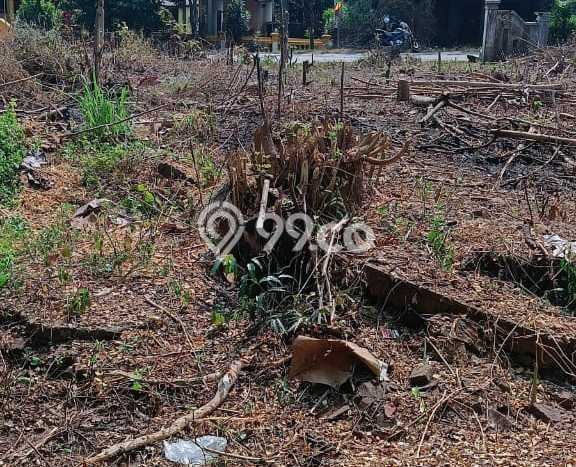 Kavling Tanah di Nguter Dijual Luas 632m2 Legalitas - Kavling Tanah di Nguter Dijual Luas 632m2 Legalitas -