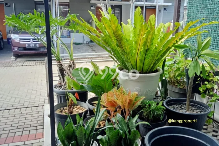 Dijual Rumah Eksklusif 2 KT di Gunung Batu, Bandung Dijual Rumah Eksklusif 2 KT di Gunung Batu, Bandung