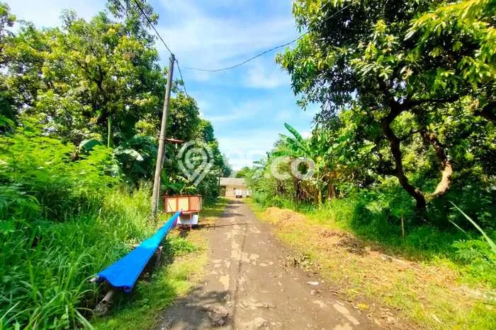 Tanah Kavling Dijual di Kalideres, Jakarta Barat dengan Luas Tanah 5000m2 Tanah Kavling Dijual di Kalideres, Jakarta Barat dengan Luas Tanah 5000m2