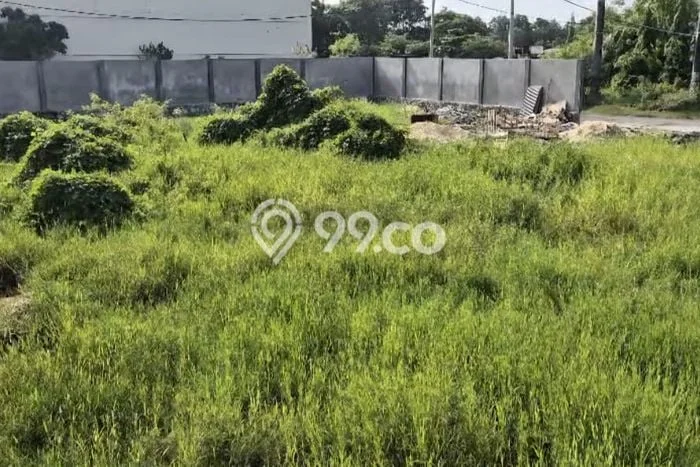 Tanah Kavling Dijual di Denpasar dengan Spesifikasi 1000m2 Tanah Kavling Dijual di Denpasar dengan Spesifikasi 1000m2