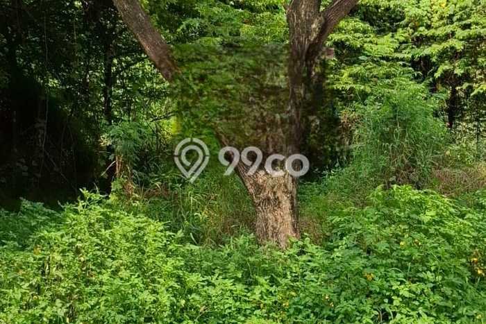 Tanah Strategis Dijual di Ngaliyan Semarang 2736m2 Tanah Strategis Dijual di Ngaliyan Semarang 2736m2