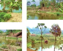 Tanah Kavling untuk Dijual di Ciwidey Bandung 11200m2 Tanah Kavling untuk Dijual di Ciwidey Bandung 11200m2