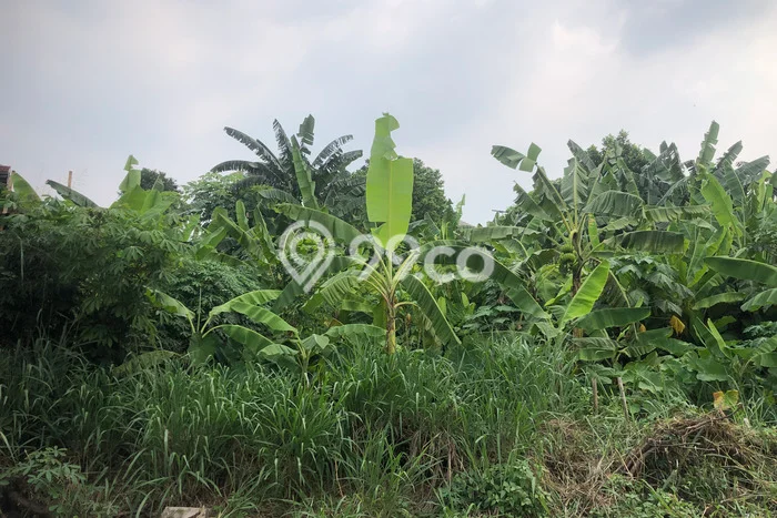 Tanah Dijual Lokasi Ciputat, Tangerang Selatan Luas 120m2 Legalitas Aman Tanah Dijual Lokasi Ciputat, Tangerang Selatan Luas 120m2 Legalitas Aman