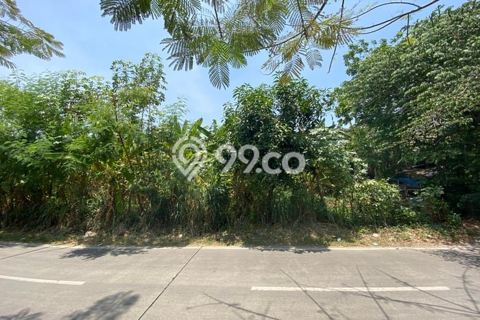 Tanah Dijual Lokasi Ciputat, Tangerang Selatan Luas 120m2 Legalitas Aman Tanah Dijual Lokasi Ciputat, Tangerang Selatan Luas 120m2 Legalitas Aman