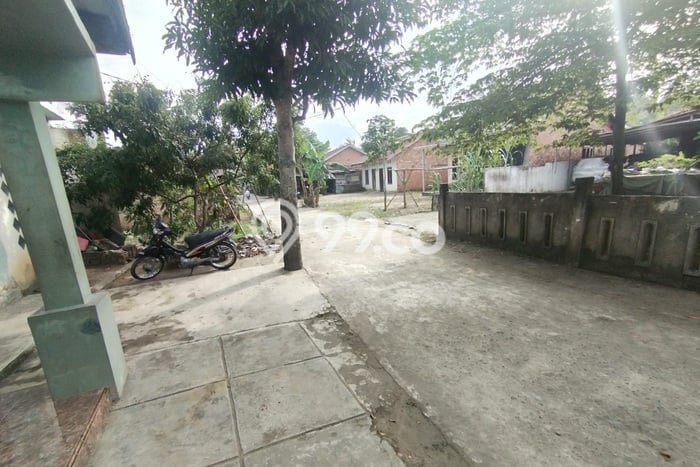 Jual Rumah Harga Miring Kumpeh Ulu Punya 2 KT & LT 201m2 Jual Rumah Harga Miring Kumpeh Ulu Punya 2 KT & LT 201m2