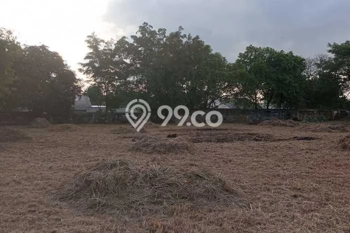 Sangat Dicari! Lahan Kosong Disewakan di Balaraja, Tangerang Sangat Dicari! Lahan Kosong Disewakan di Balaraja, Tangerang