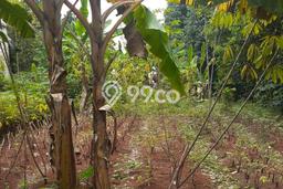 Tanah Dijual Area Strategis di Cinangka Depok 979m2 Tanah Dijual Area Strategis di Cinangka Depok 979m2