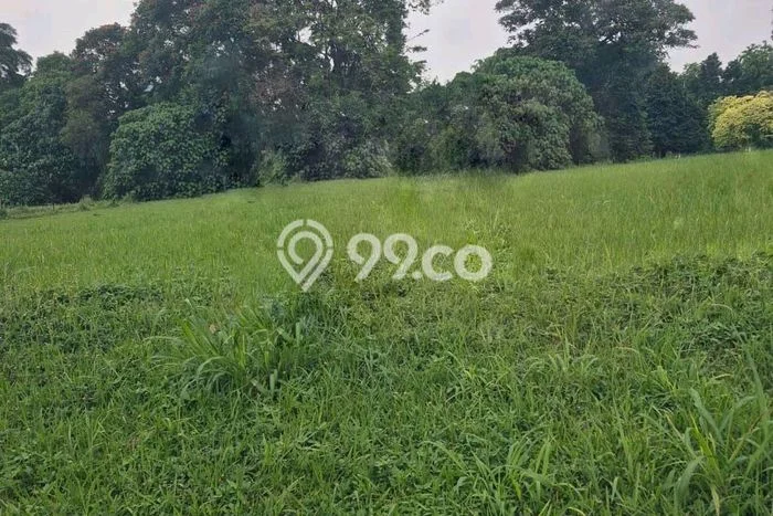 TANAH POTENSIAL! Tanah Kawasan , Luas 1147m2m², Jalur Mudah TANAH POTENSIAL! Tanah Kawasan , Luas 1147m2m², Jalur Mudah