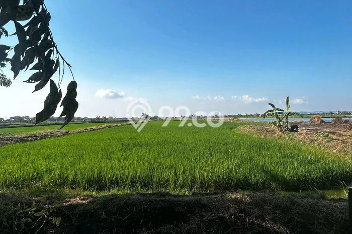 Dijual Tanah 5500m2 di Gresik Kota, Gresik Dijual Tanah 5500m2 di Gresik Kota, Gresik