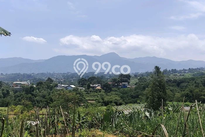 Tanah Dijual Area Strategis di Gadog Bogor 2200m2 Tanah Dijual Area Strategis di Gadog Bogor 2200m2